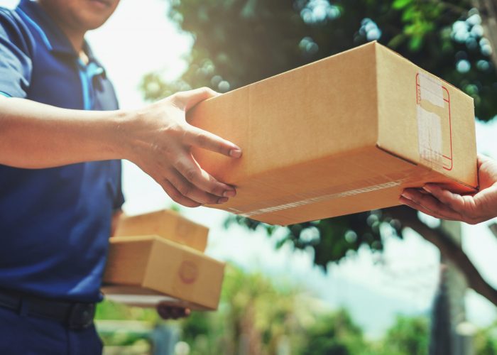 Delivery man delivering holding parcel box to customer